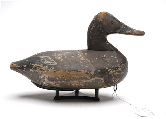 Canvasback hen by Wally Algard, William Heverin