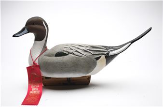 Pintail drake - Jon Groninger