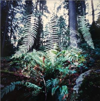 Perception - Newzones Gallery of Contemporary Art