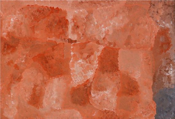 Arnwekety - Bush Plum - Elizabeth Mbitjana Pitijana