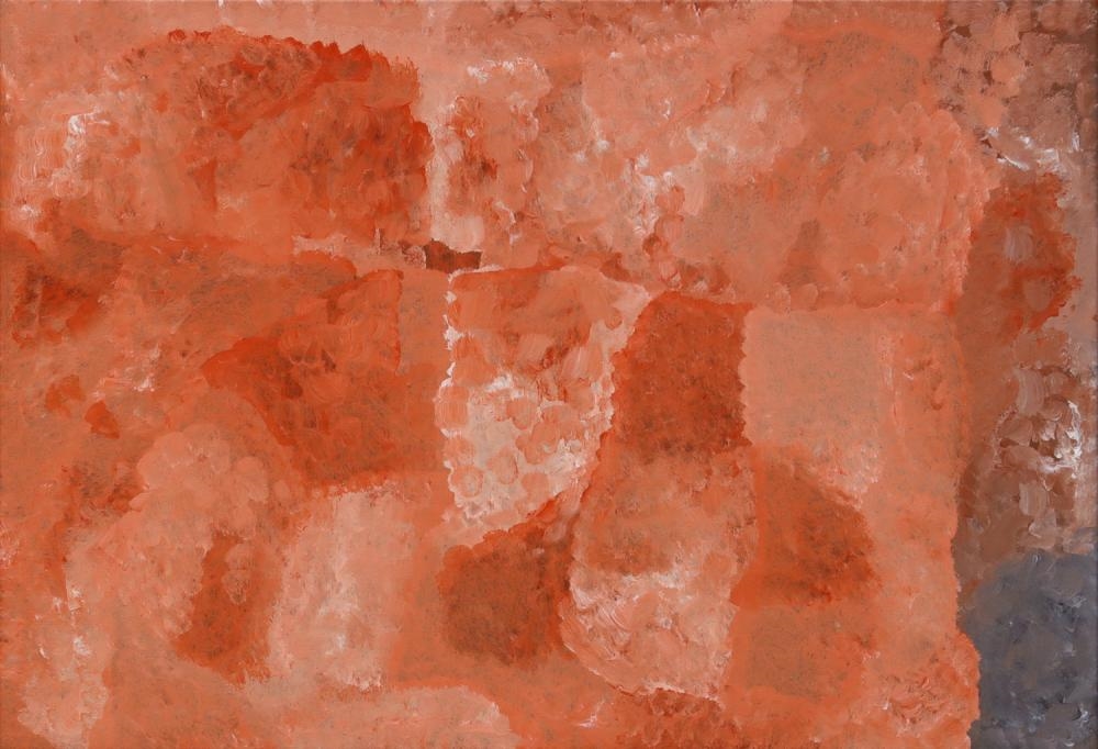 Artwork by Elizabeth Mbitjana Pitijana, Arnwekety - Bush Plum, Made of Acrylic on canvas