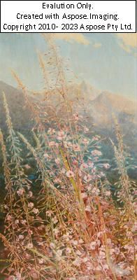 Herbstliche Alpenwiese - Alois Hänisch