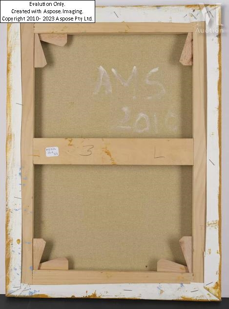 Artwork by Anne-Marie Schneider, Sans titre (triptyque), Made of Acrylic on canvas