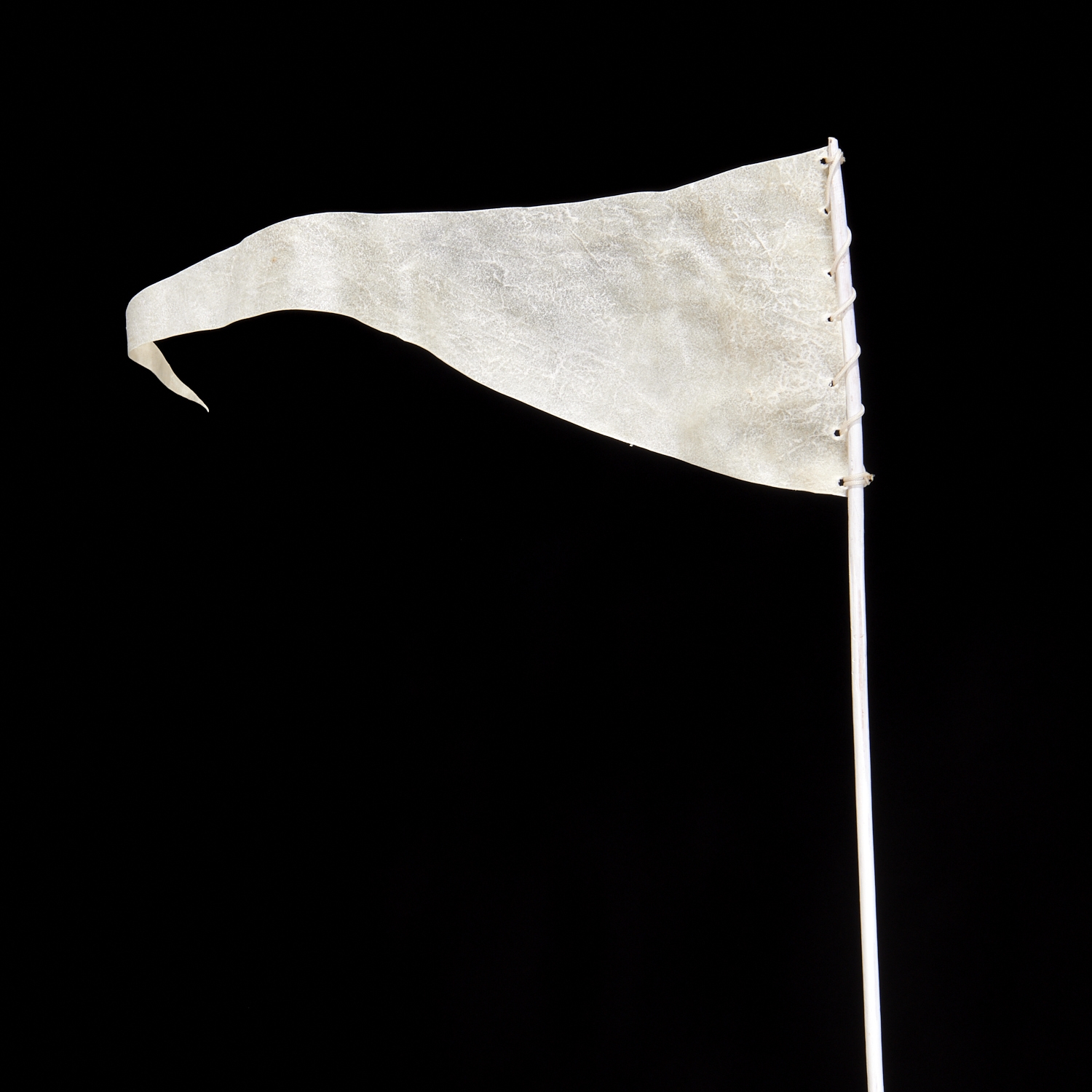 Artwork by Eric Oglander, "A Very Stable Flag", Made of mixed media sculpture