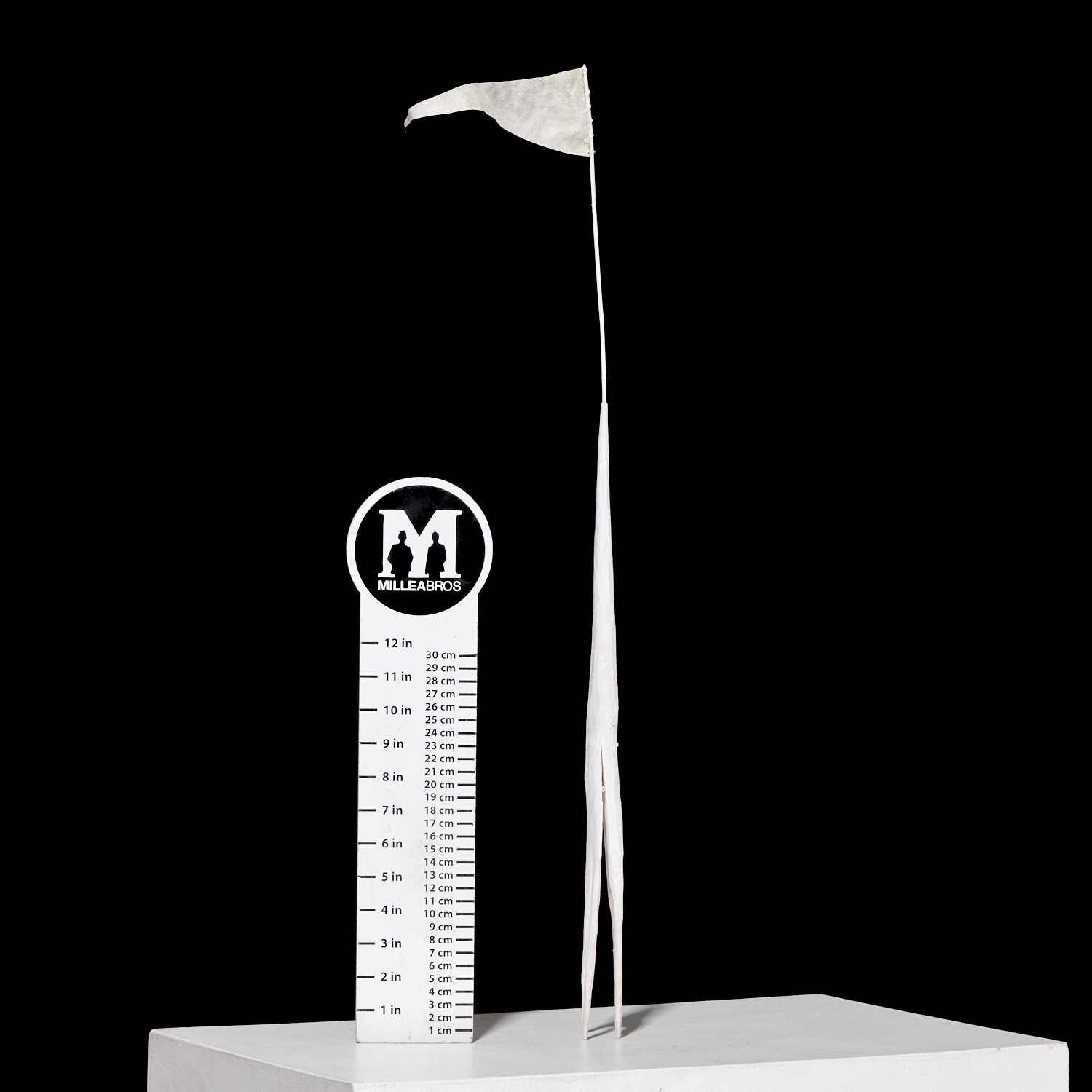 Artwork by Eric Oglander, "A Very Stable Flag", Made of mixed media sculpture