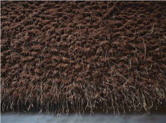 Delcy Morelos - MUAC, Museo Universitario de Arte Contemporaneo