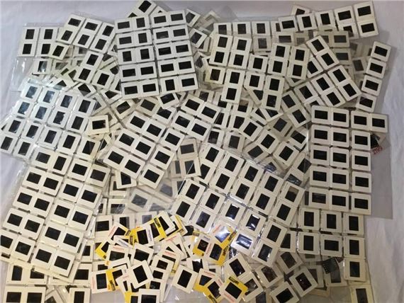 Film transparencies - Annie Sprinkle