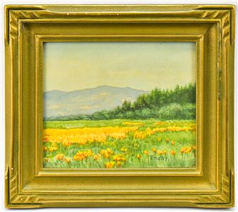 A sunny flower meadow with mountains beyond - Bertha Emery