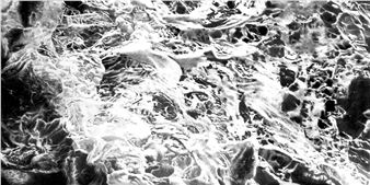 Traits d’esprit - Galerie Loft