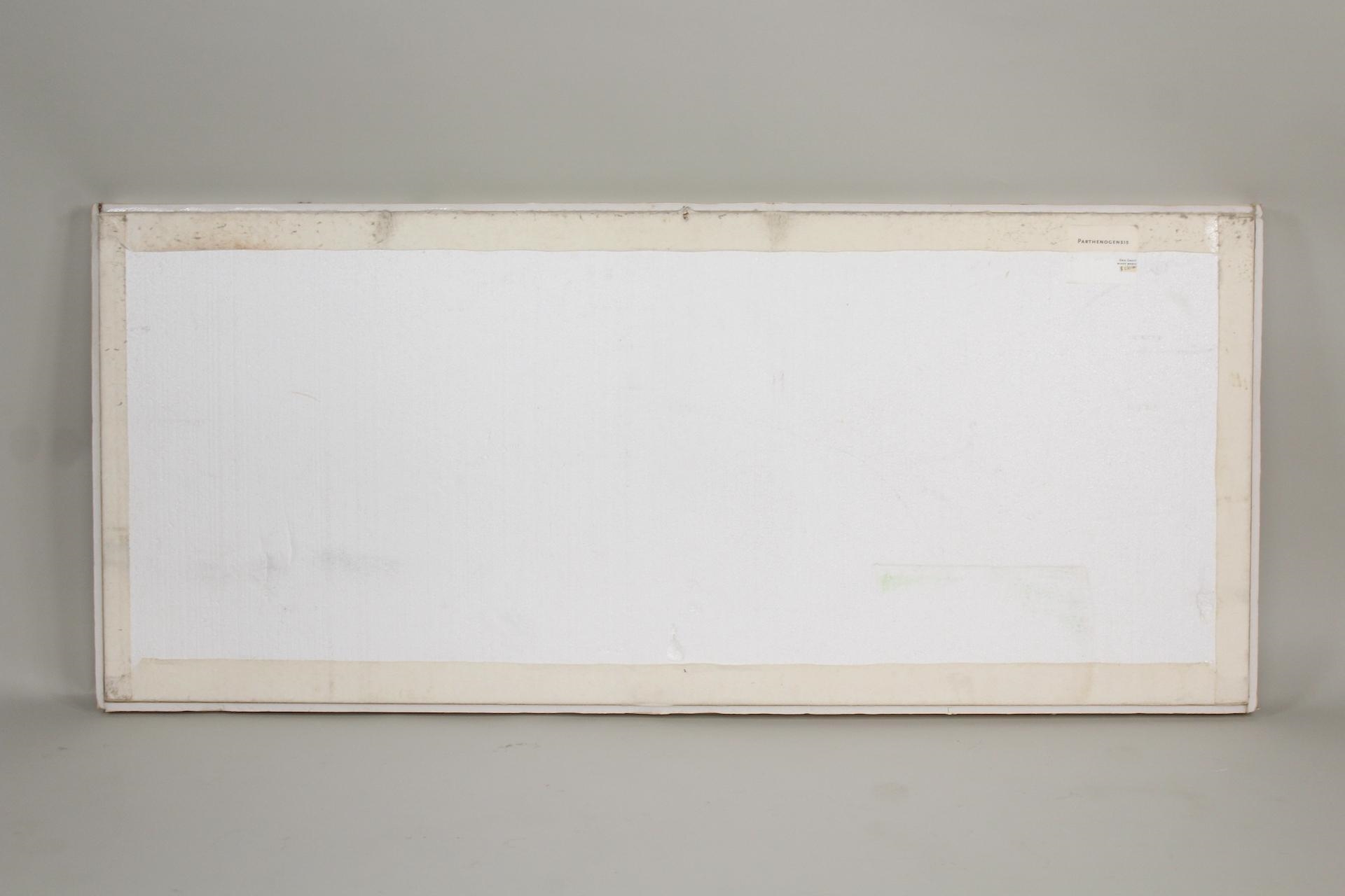 Artwork by Erik Groff, Parthenogensis, Made of mixed media painting on foam board