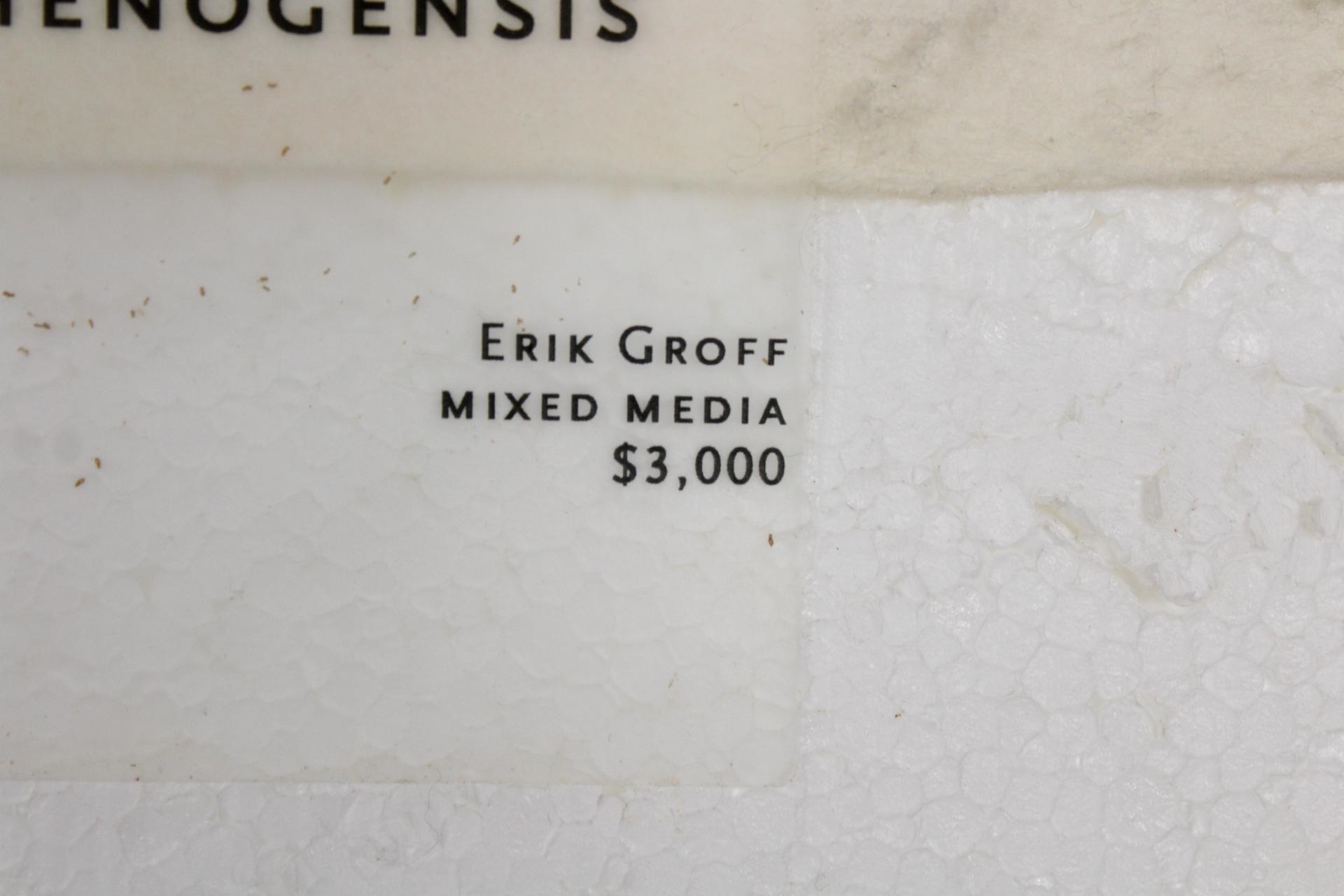 Artwork by Erik Groff, Parthenogensis, Made of mixed media painting on foam board