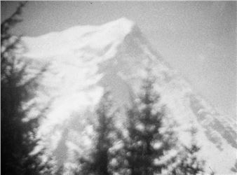 Mark Van Den Brink: The Minox Files and Stills & Stones - Galerie Wouter Van Leeuwen
