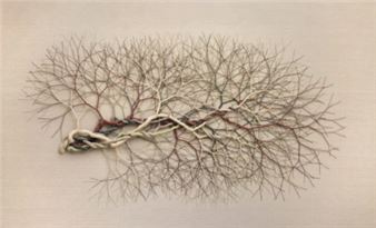 Janaina Mello Landini: Interwoven Networks of Art and Architecture