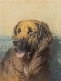 Leonberger - Conradyn Cunaeus