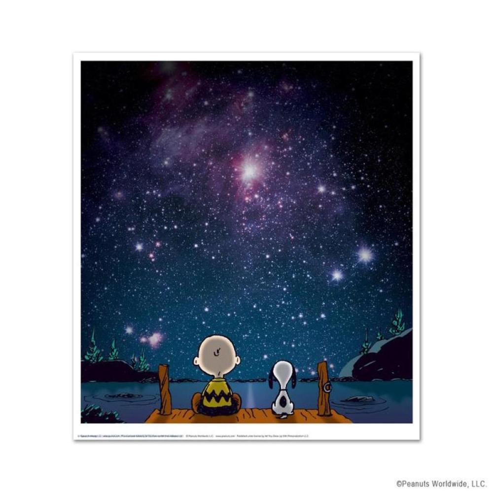 Charles Schulz | Peanuts | MutualArt