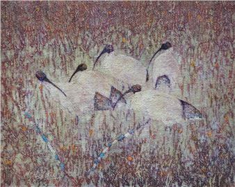 EGYPTIAN IBIS - Mike Nicholas