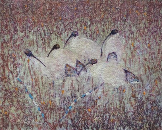 EGYPTIAN IBIS - Mike Nicholas