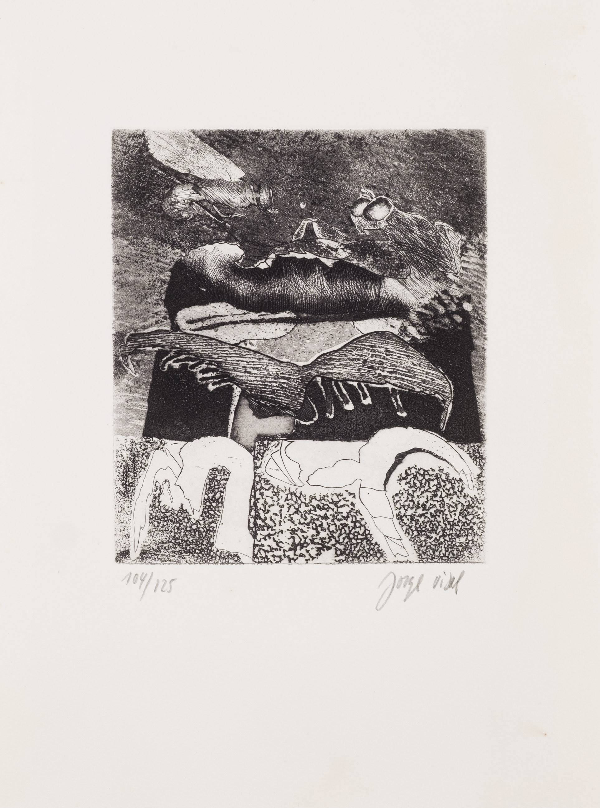 Artwork by Jorge Vidal, Untitled, Made of Etching on paper