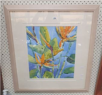 Stretitzia Study - Anne Knowles