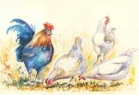 Artwork by Amabile Dalfarra-smith, AMABILE DALFARRA-SMITH (Australia, Made of Watercolour