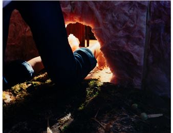 Huckleberry - Deborah Mesa-Pelly