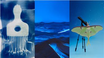 Elemental Currents—Material, Memory, and Myth