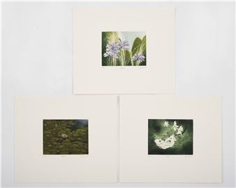 DavidExeter - David Suff