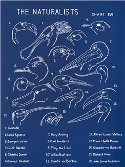 MarcNew Bedford - Marc Dion