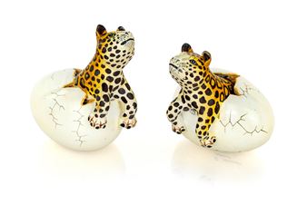 Due uova con cuccioli di leopardo - Miranda