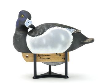 Preening ringneck - Jon Groninger