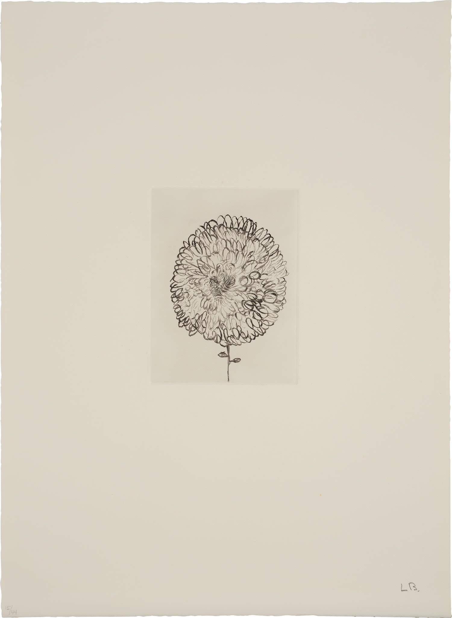 Artwork by Louise Bourgeois, Homely Girl, A Life (MoMA 926-935, Made of drypoints, on Somerset paper, with full margins, with title page, colophon and epigraph