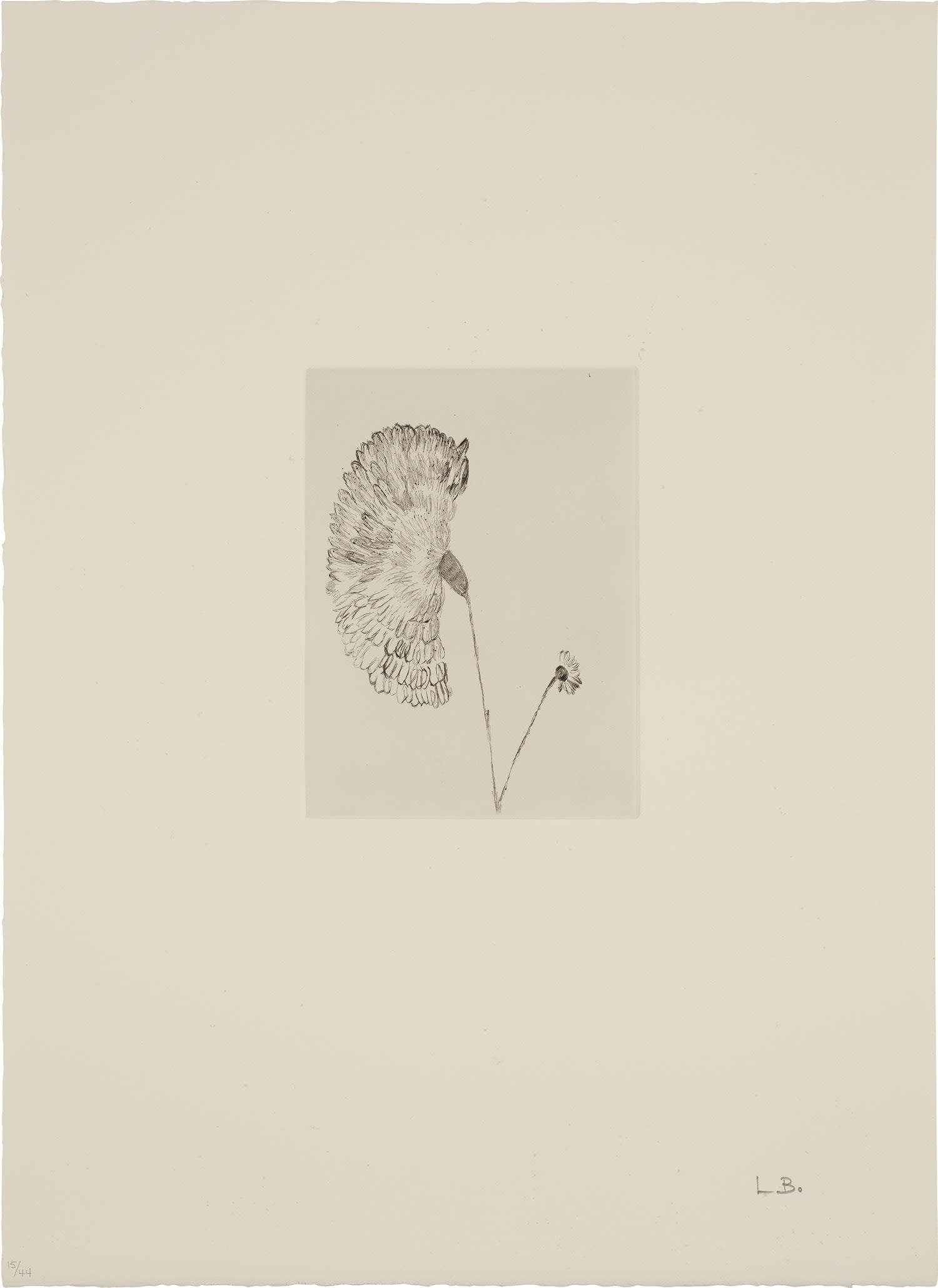 Artwork by Louise Bourgeois, Homely Girl, A Life (MoMA 926-935, Made of drypoints, on Somerset paper, with full margins, with title page, colophon and epigraph