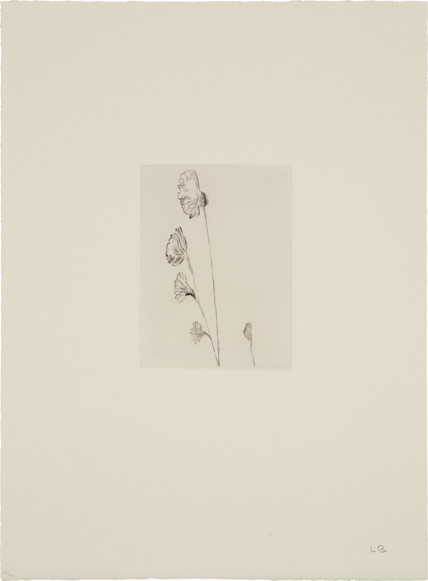 Artwork by Louise Bourgeois, Homely Girl, A Life (MoMA 926-935, Made of drypoints, on Somerset paper, with full margins, with title page, colophon and epigraph