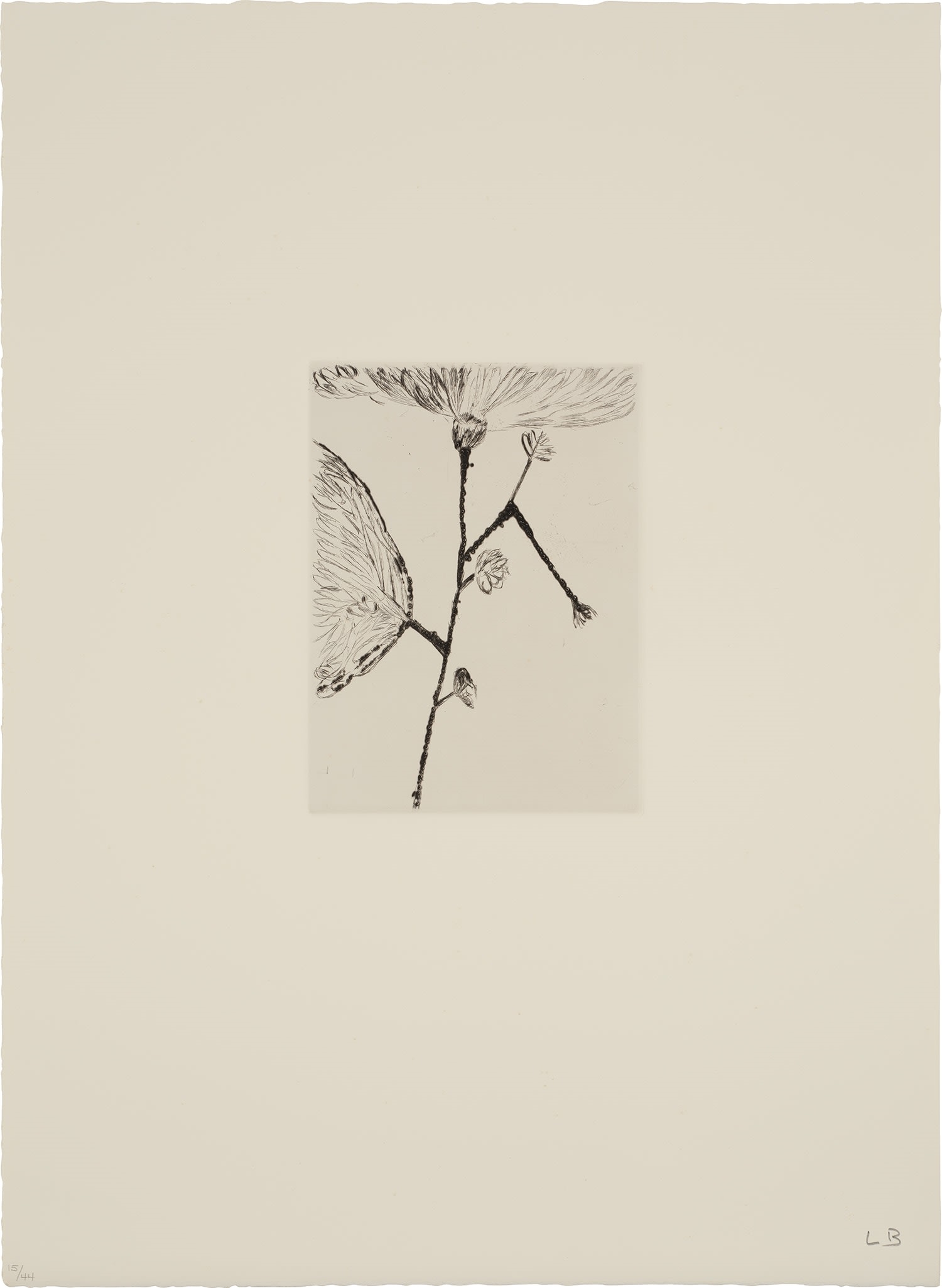Artwork by Louise Bourgeois, Homely Girl, A Life (MoMA 926-935, Made of drypoints, on Somerset paper, with full margins, with title page, colophon and epigraph