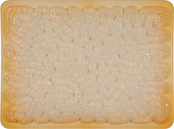 Rubber Mat by Mona Hatoum, 1996