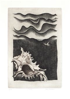 Mušle, nedatováno - Vera Sedláková