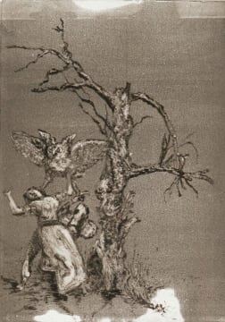 Johan Stegmann | The Tree of Knowing (Skreeboom se Oorerfde Horries ...