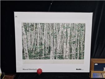 s work 'You Can't See The Forest For The Trees - Marcel Odenbach