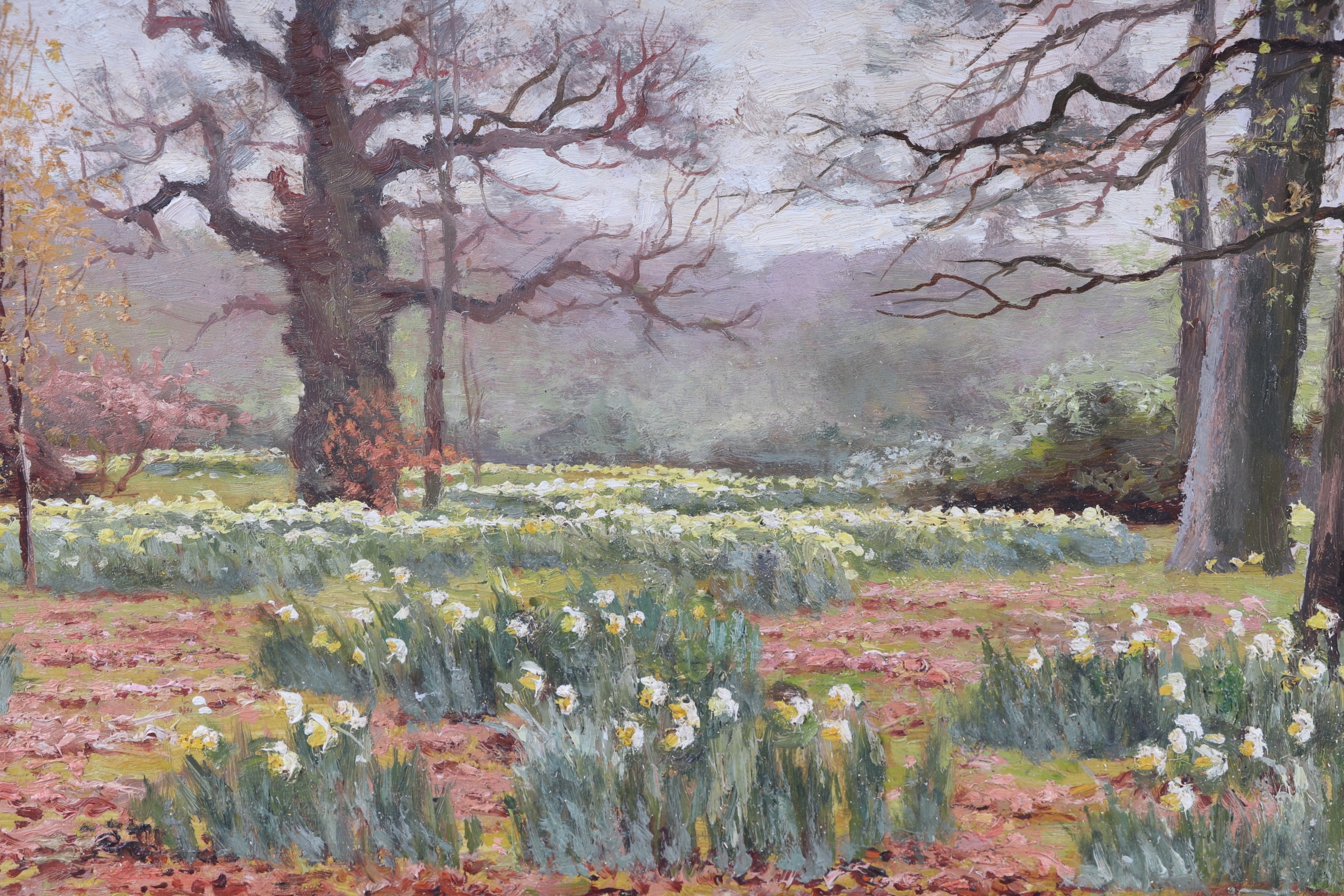 Artwork by J. McIntyre, Daffodils in a Woodland, Made of oil on board