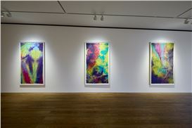 Sam Gillian “The Flow of Color” at PACE, Seoul