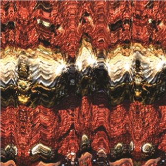 Erika Cann: The Devil’s Helix - Exeter Phoenix