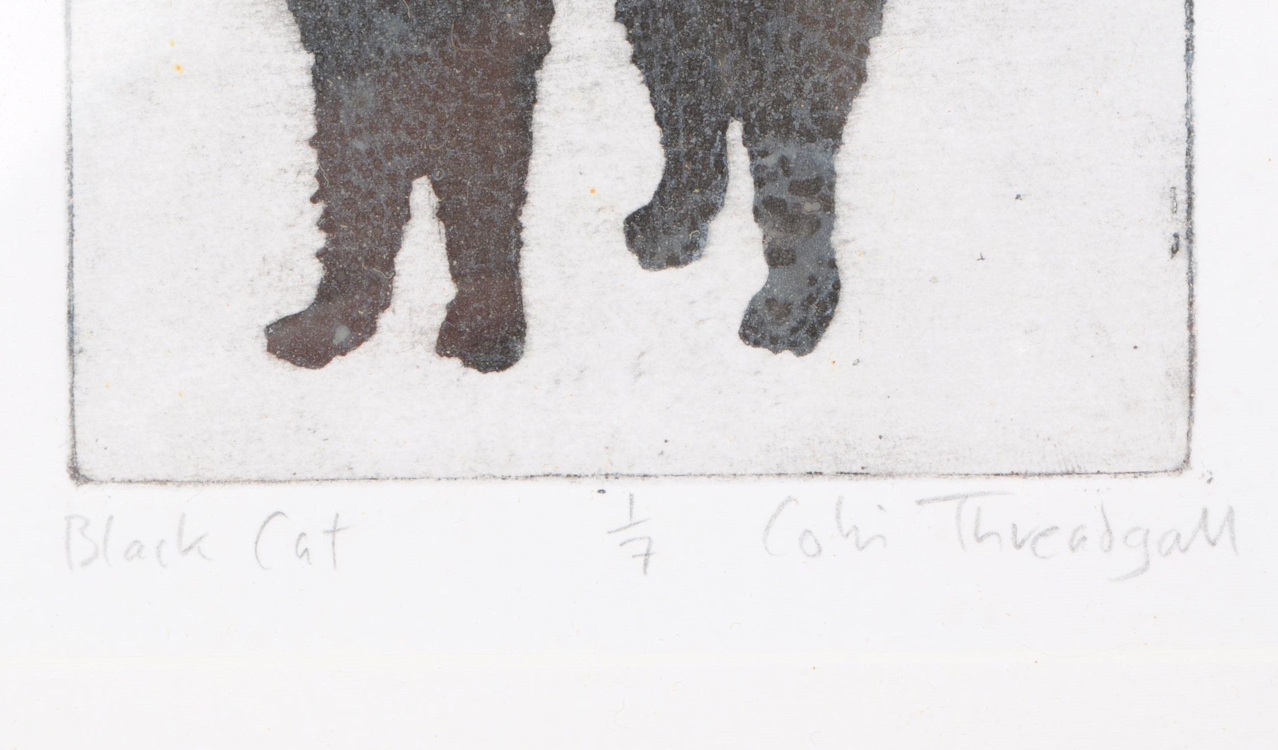 Colin Threadgall | Black Cat (2012) | MutualArt
