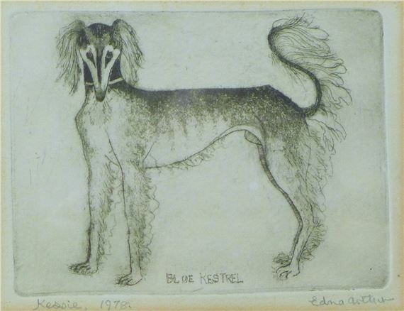 Blue Kestrel - Edna Arthur