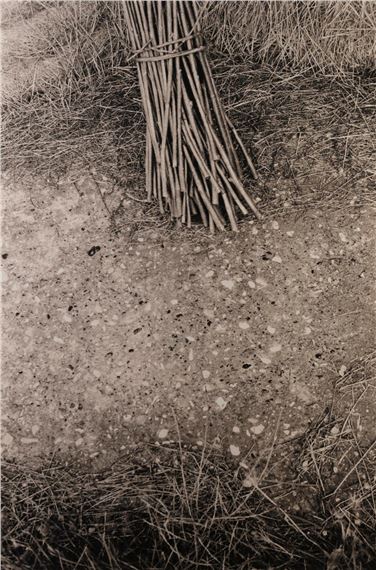 A monochromatic close-up of a bundle of sticks resting on rough ground.