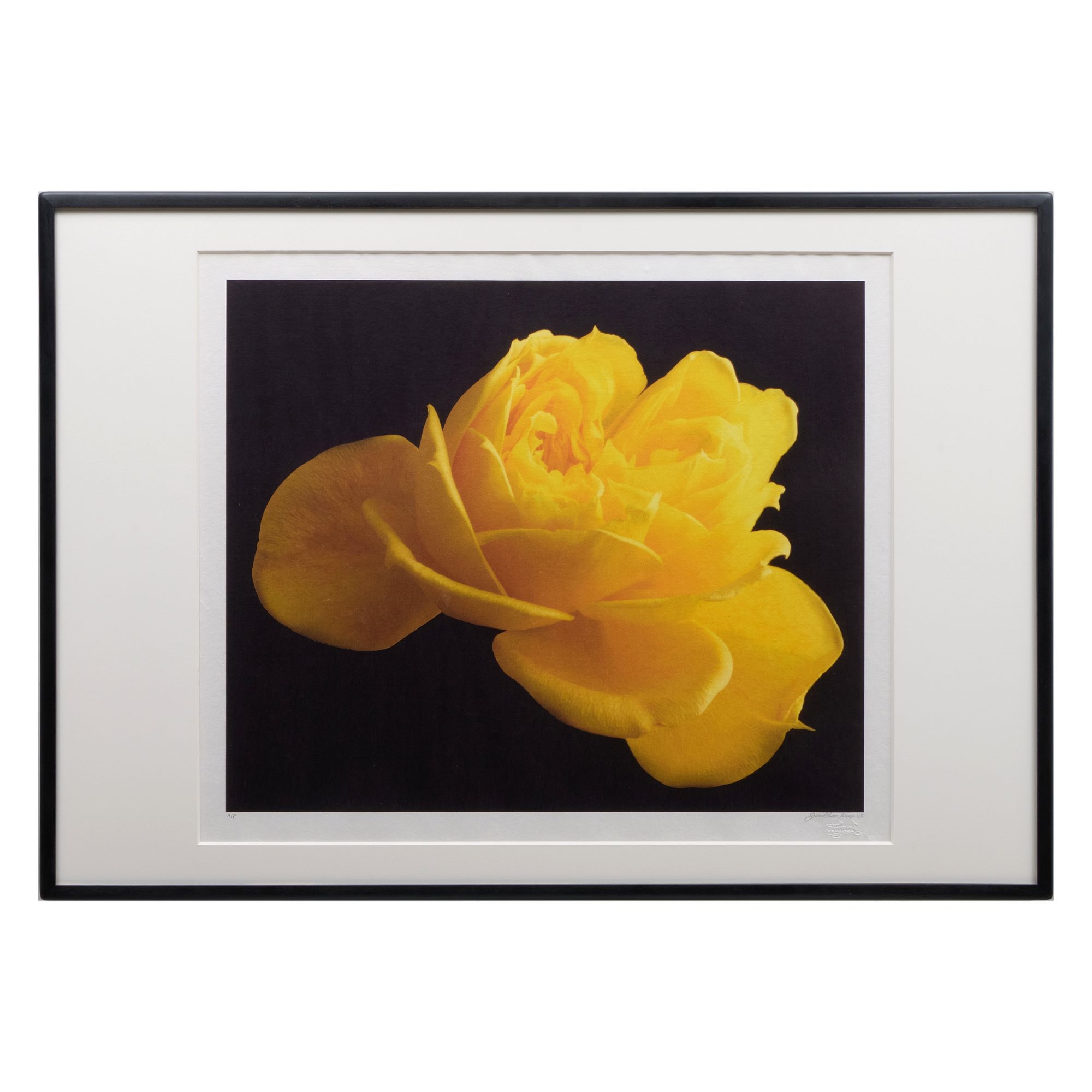 Jonathan Singer | Untitled (Yellow Flower (2007) | MutualArt