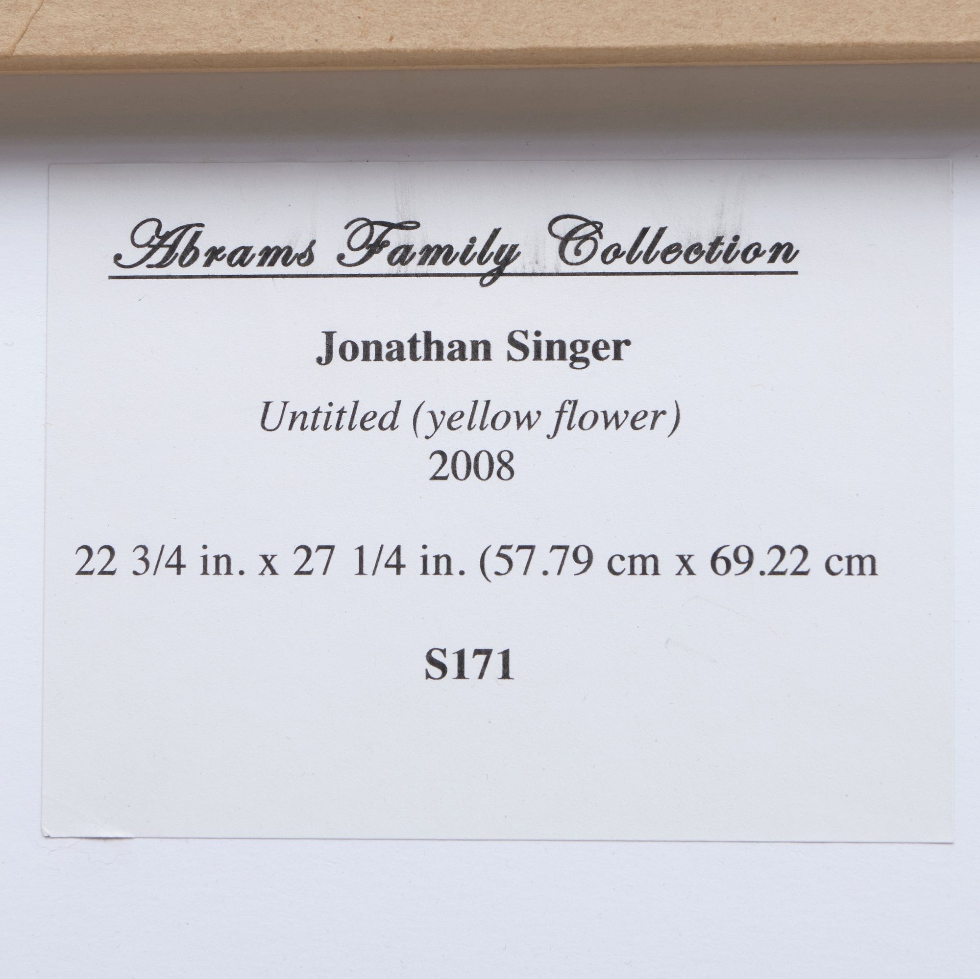 Jonathan Singer | Untitled (Yellow Flower (2007) | MutualArt