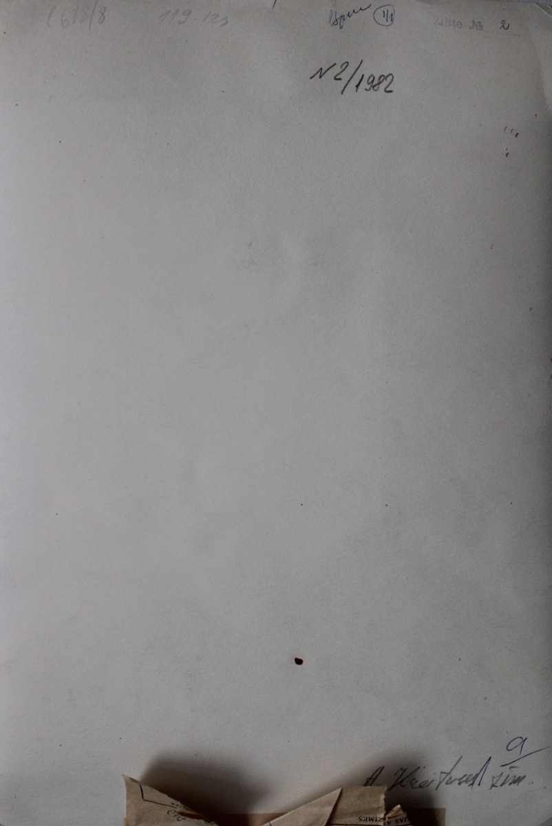 Artwork by Anita Kreituse, Winter, Zīlīte Magazine, Made of drawing, paper/watercolor