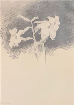 Vase of Flowers - Marjory Donaldson