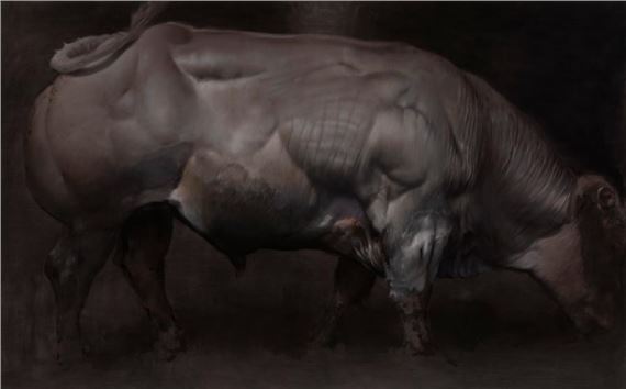 The Flemish pride - Steven Peters Caraballo