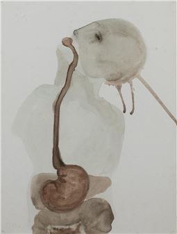 X-ray - Lysandre Begijn